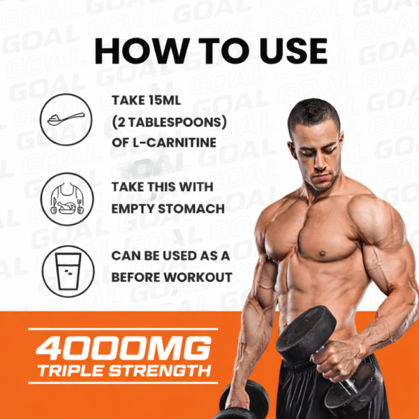 file_000000005d2871fabeea039e7fa8f6f3 L-Carnitine 4000mg